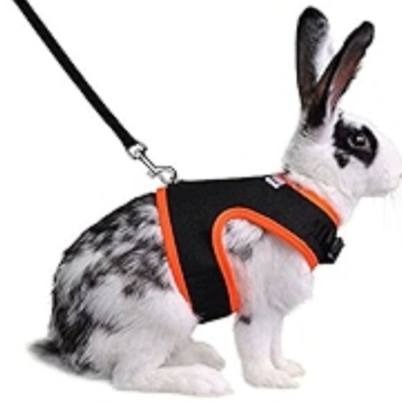 Niteangel Rabbit Harness Adjustable Soft with Elastic Leash Black Orange size S - Picture 1 of 14